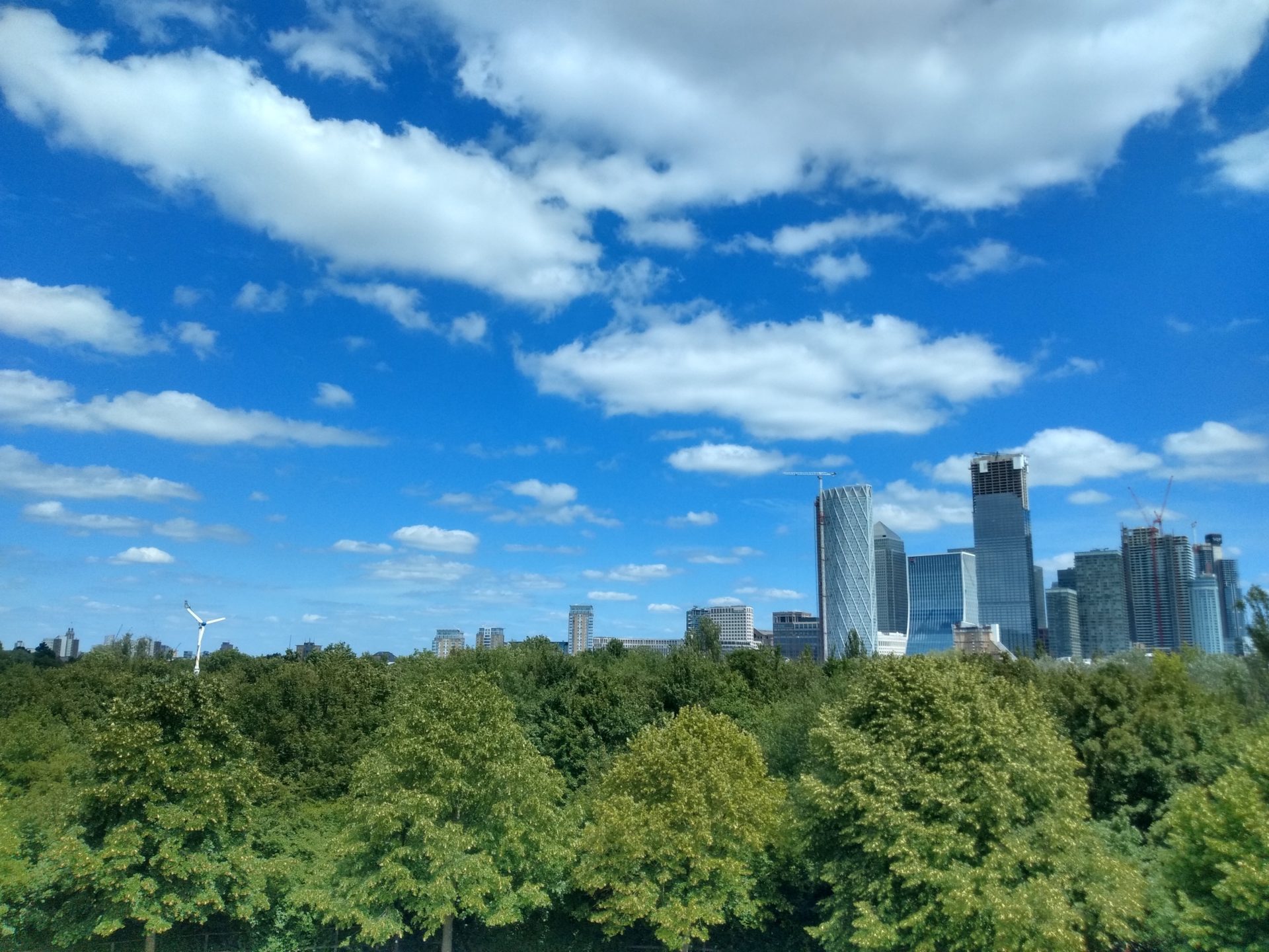 green trees with edge of city in the background