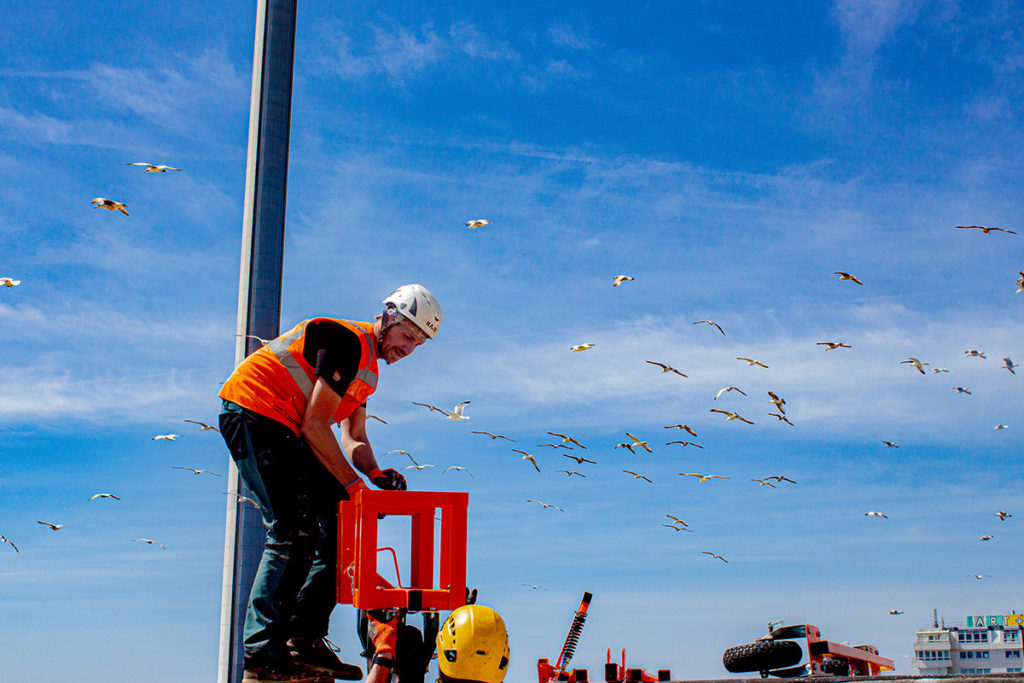 Construction worker on lift amidst seagulls under bright blue sky, wearing orange vest and helmet.
