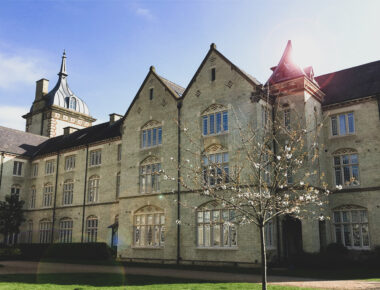 Historic Victorian building with ornate windows, bathed in sunlight, behind a blossoming tree.